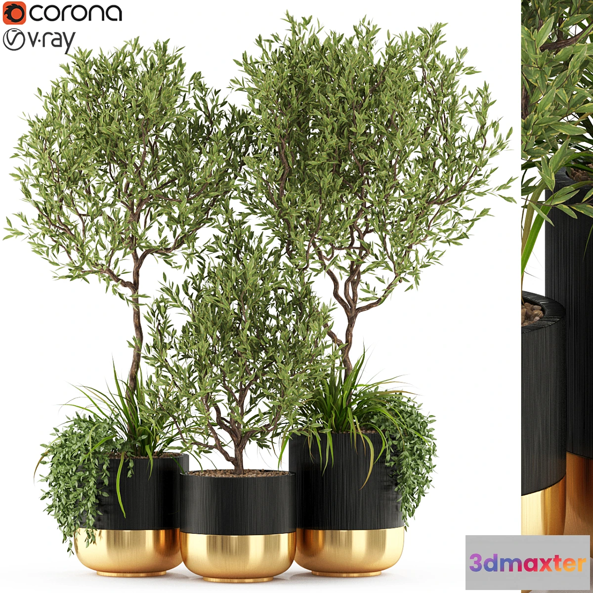 713956 - Plants collection 494 - No.2