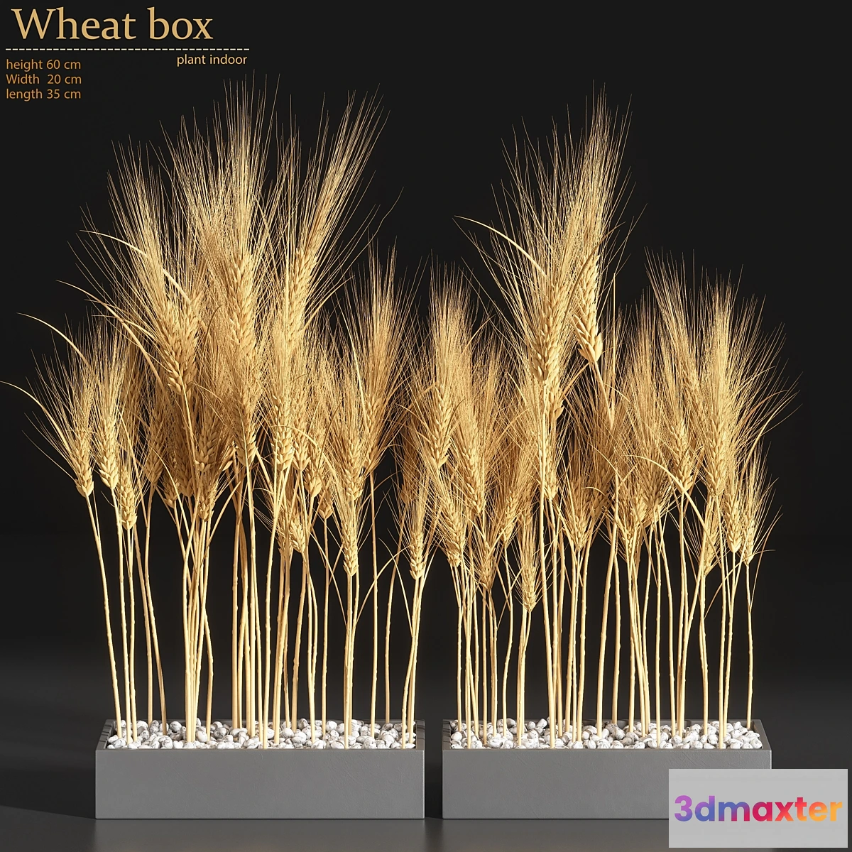 713974 - Wheat Box - No.2