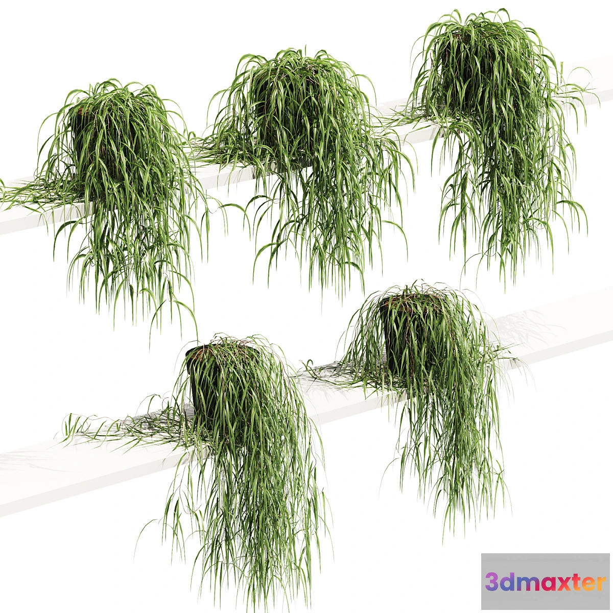 714014 - Hanging potted plant on the shelf. 5 models - No.3