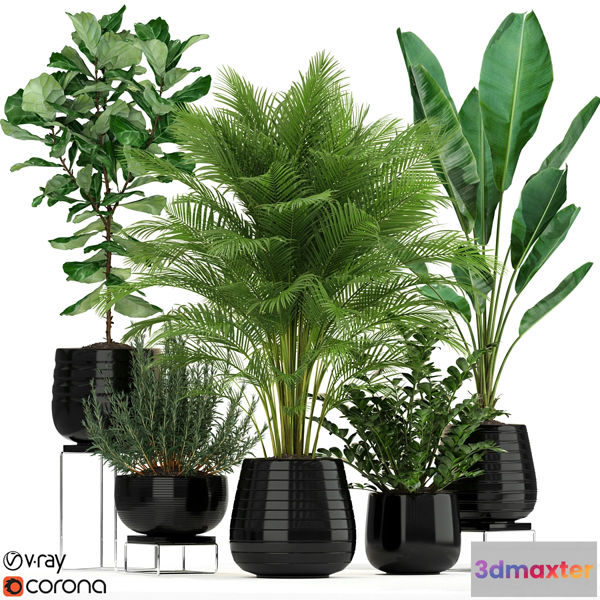 714036 - Plants collection 180 - No.2