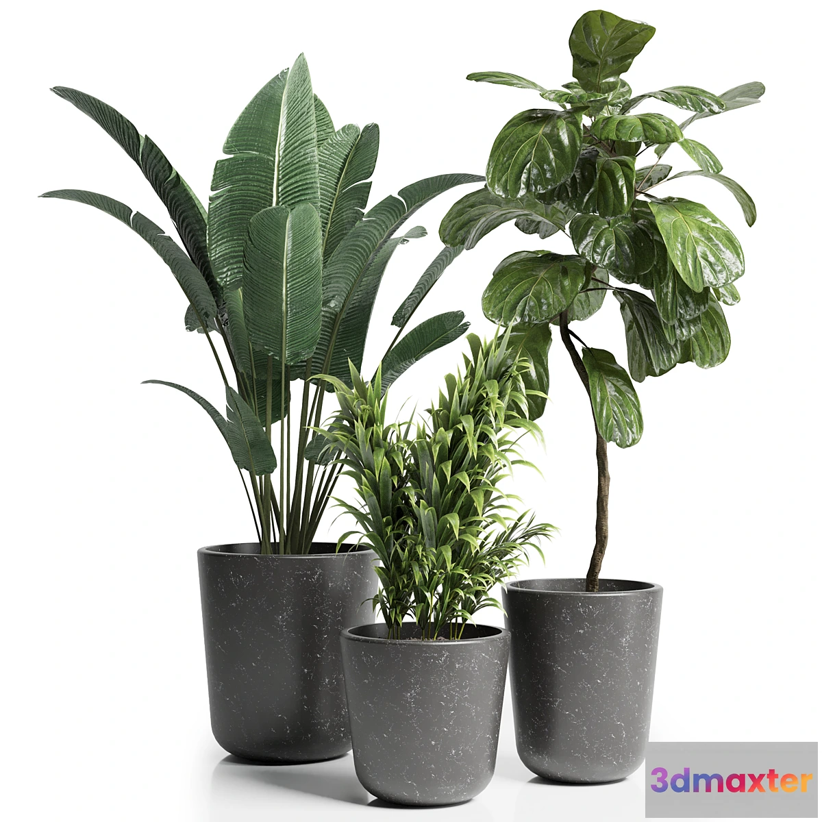 714064 - Indoor plant 21 - No.2