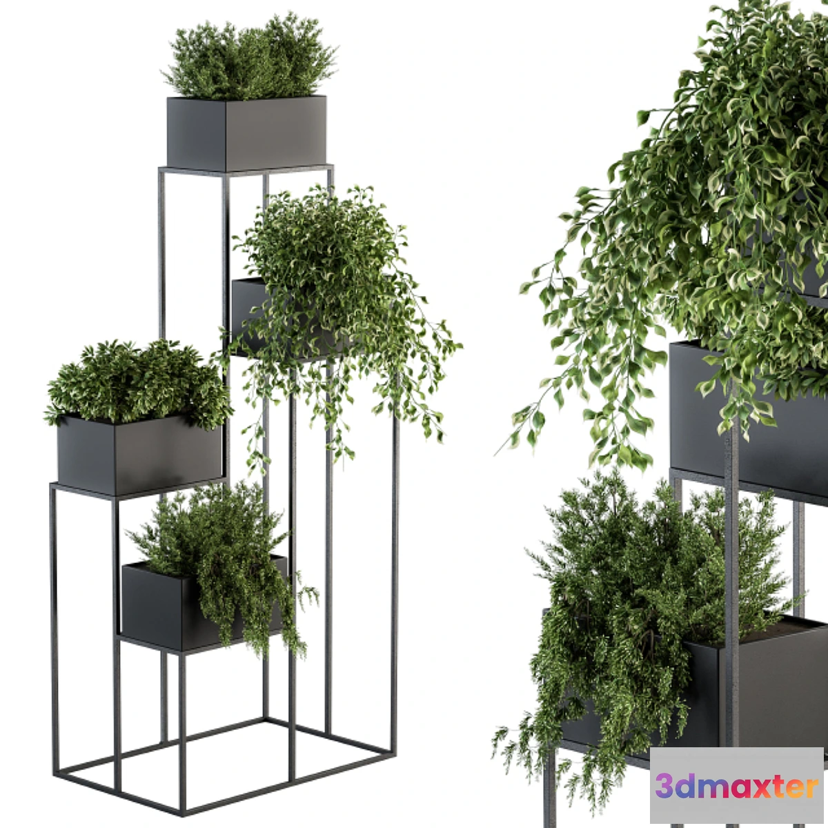 714078 - indoor Plant Set 100 - Black stand - No.2