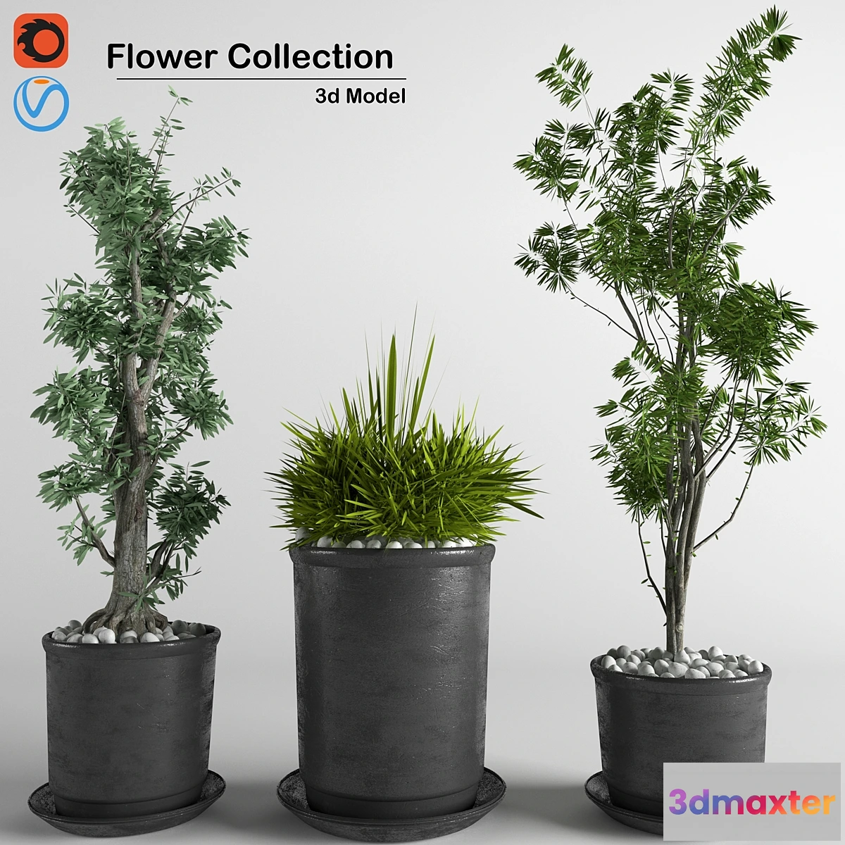 714112 - flower collection 3p - No.2