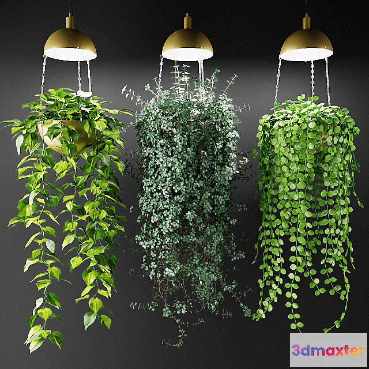 714140 - Ampel plants in a cache-pot with lamps - No.2
