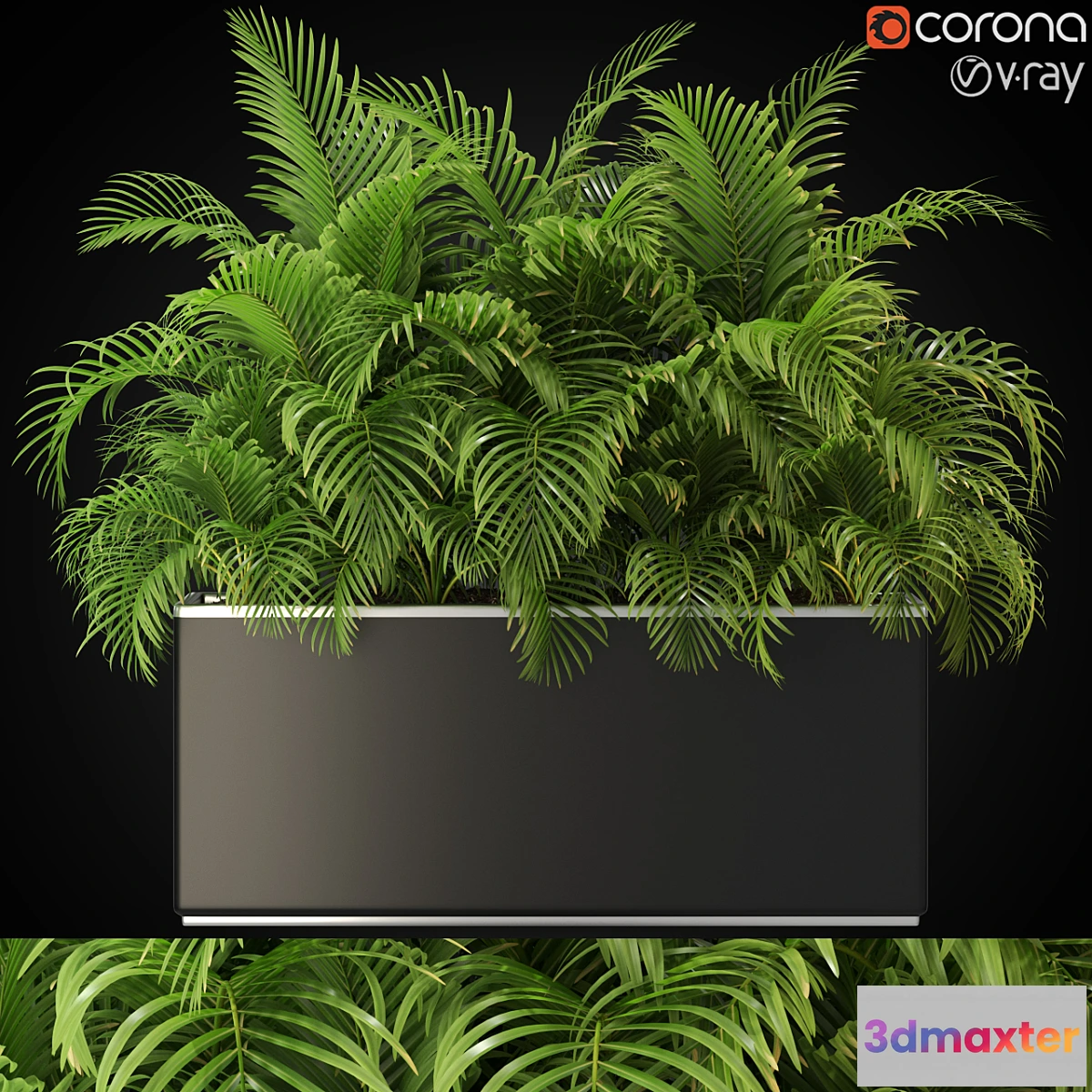 714180 - Plants collection 267 - No.2