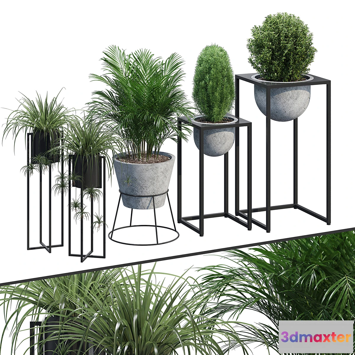 714226 - Scout philo - No.2