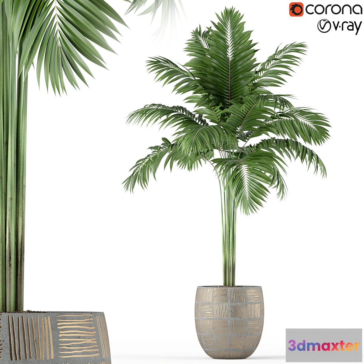 714262 - Plants collection 220 - No.2