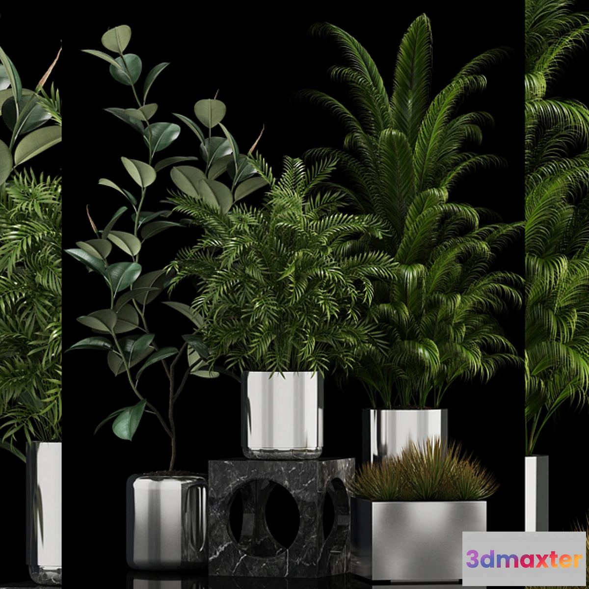 714316 - Plants collection 106 - No.2