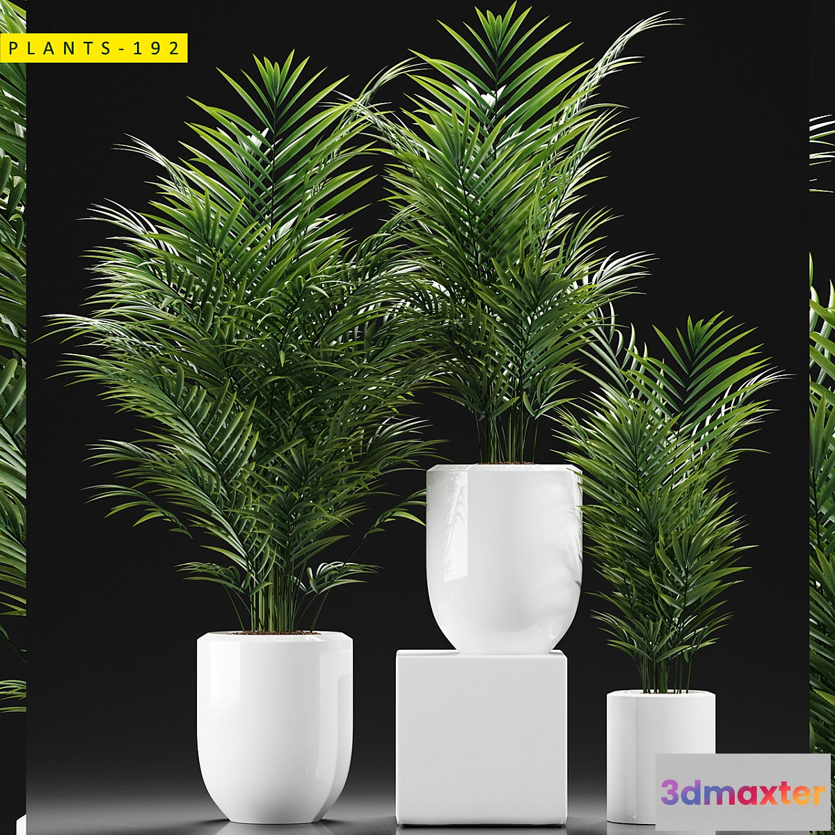 714318 - PLANTS 193 - No.2