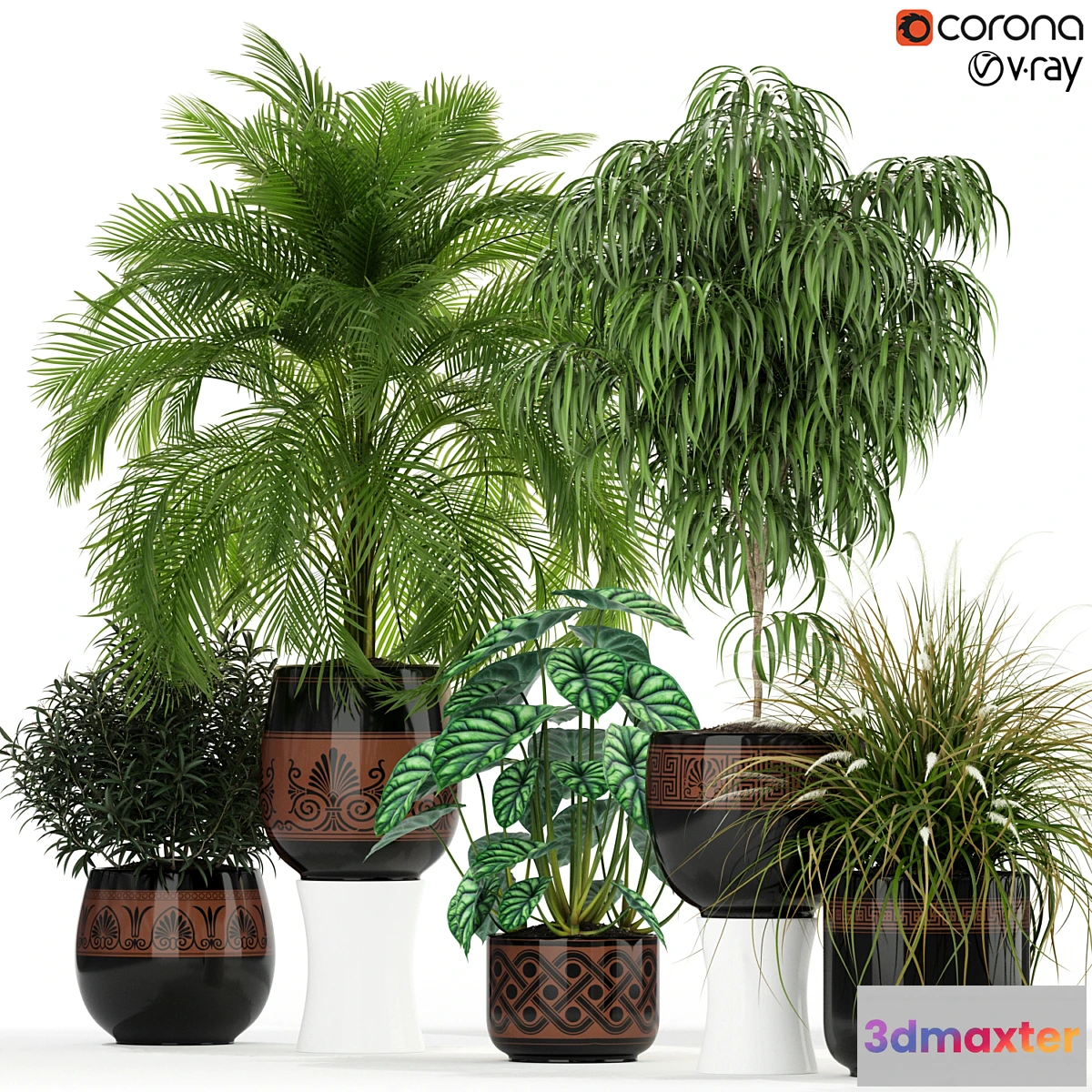 714384 - Plants collection 182 - No.2