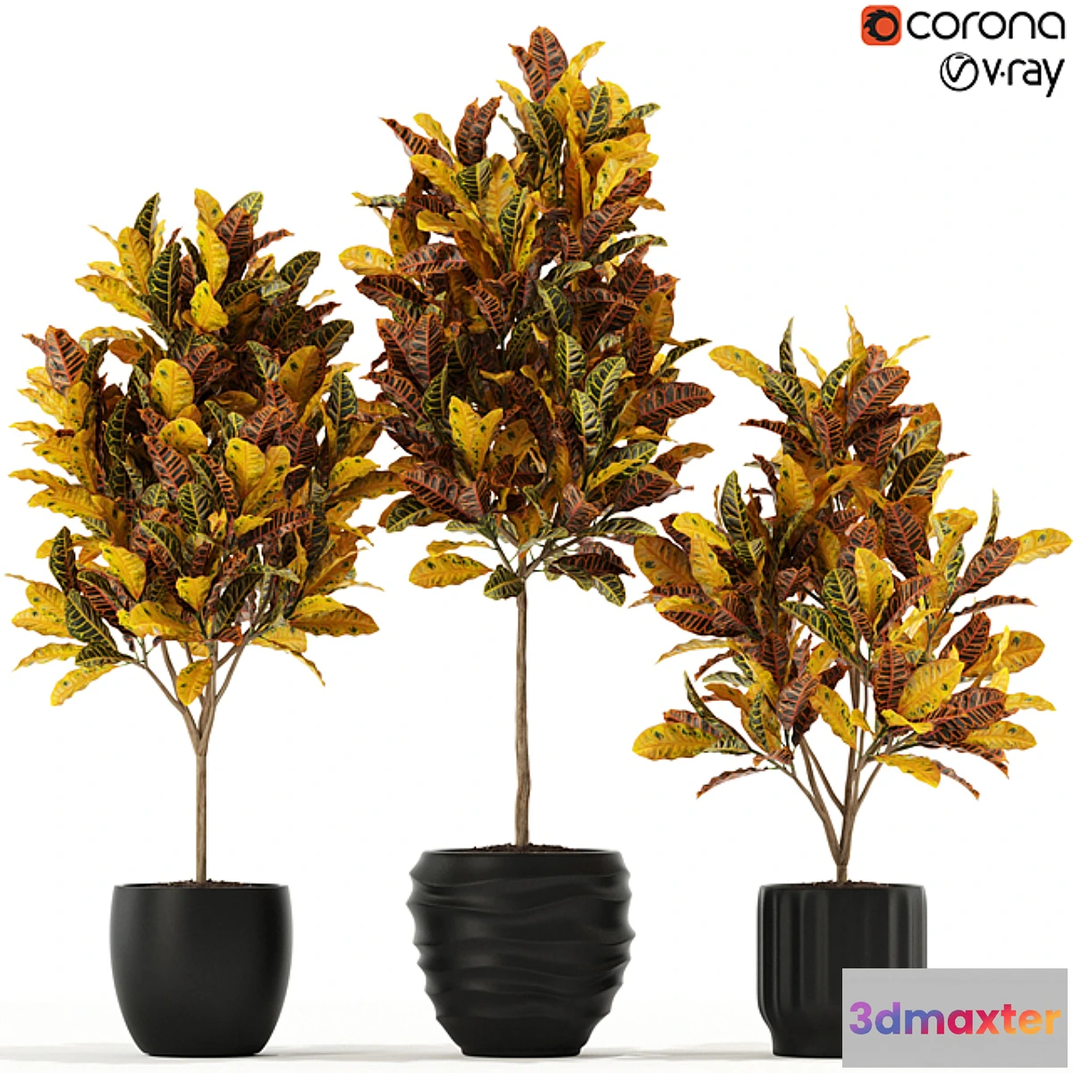 714424 - Plants collection 120 - No.2