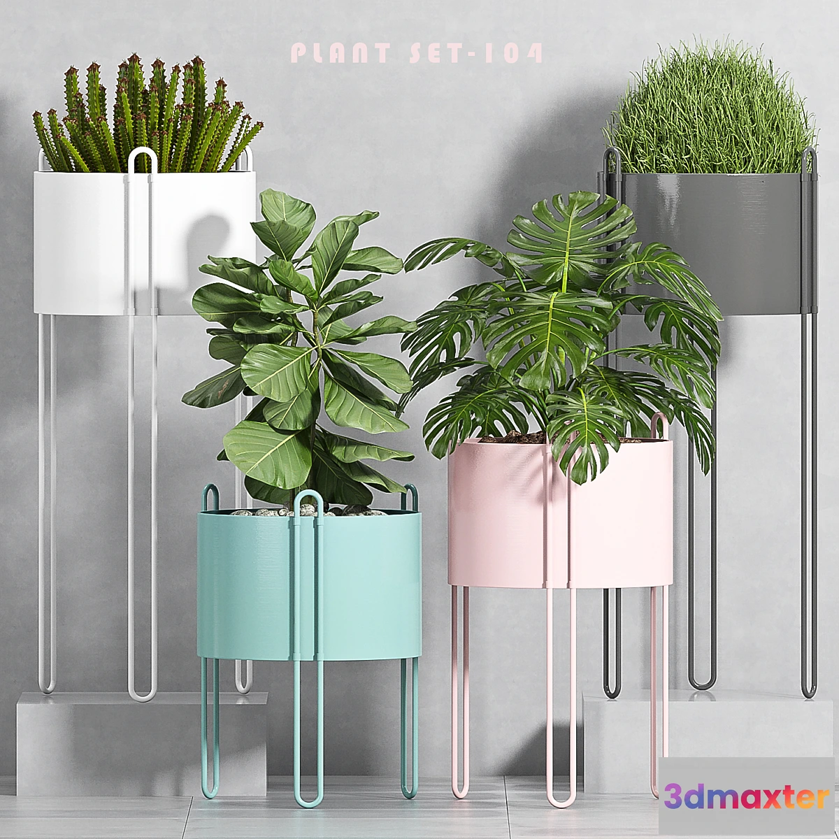 714450 - PLANT SET -104 - No.2