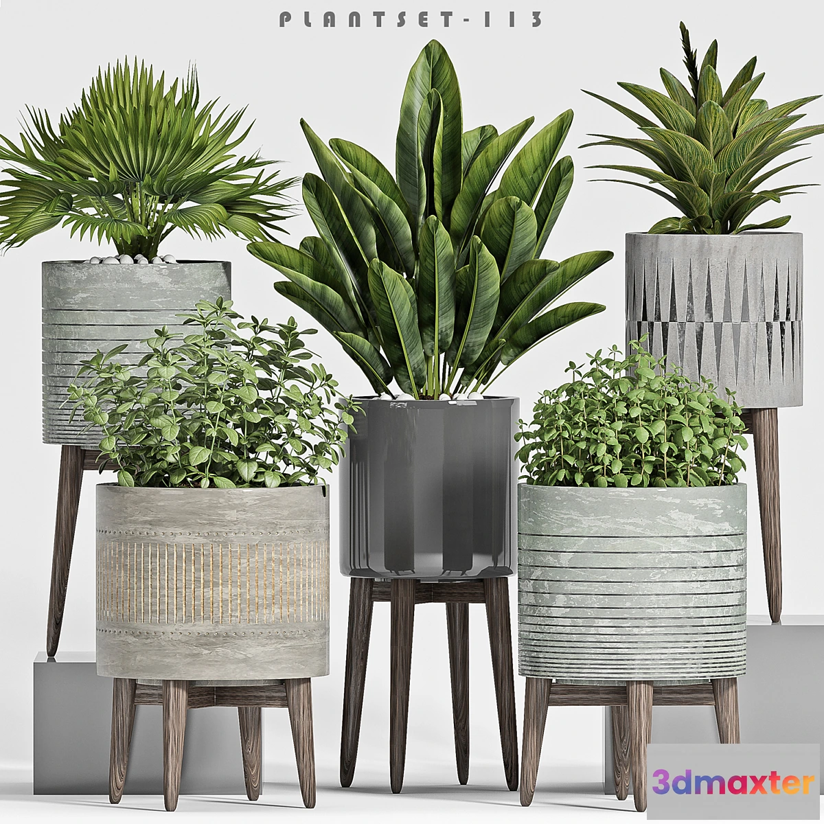 714458 - plant set-113 - No.2