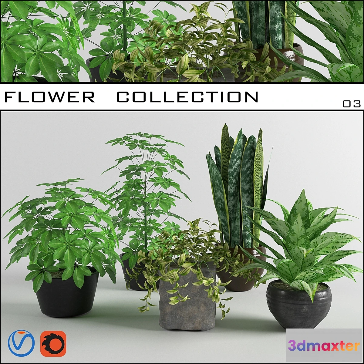 714460 - flower collection 03 - No.2