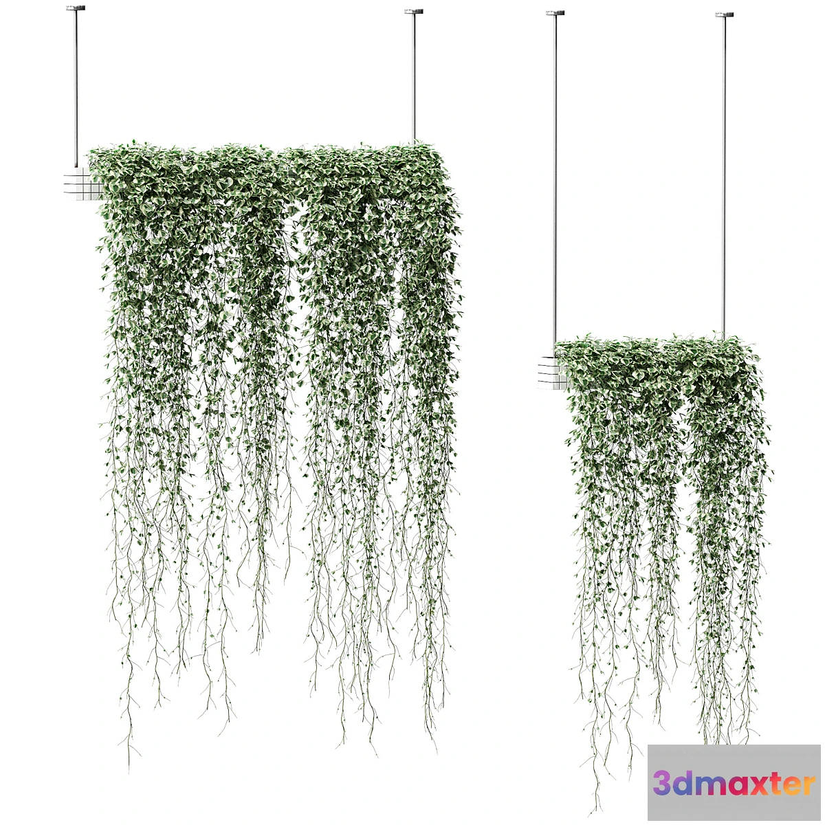 714462 - Plants in hanging pots. 2 models - No.2