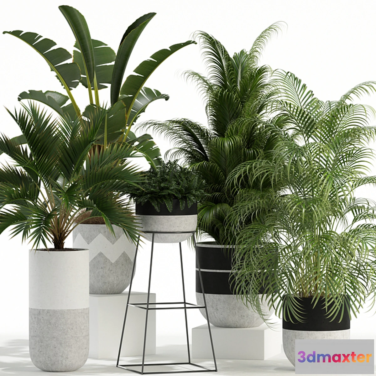 714476 - Plants collection 110 - No.2