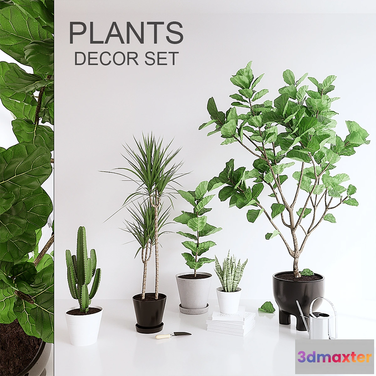 714482 - PLANTS SET (vray GGX corona PBR) - No.2