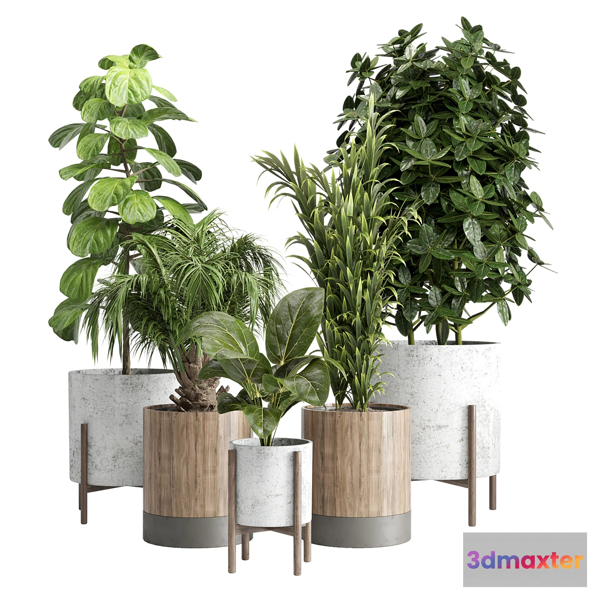 721354 - Indoor plant 20 - No.2