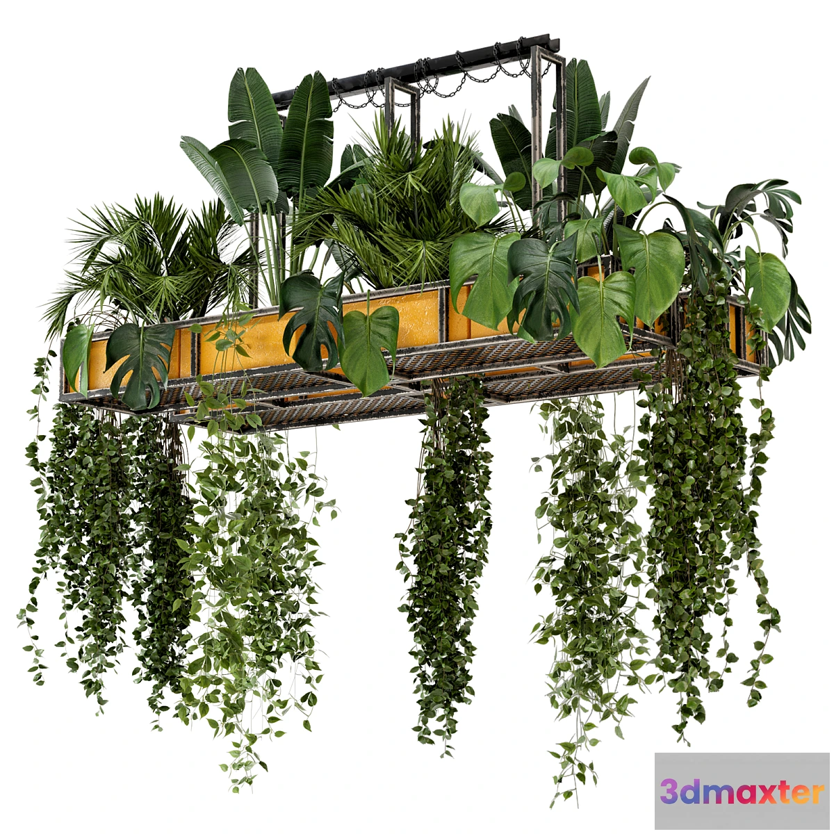 739199 - Indoor Hanging Plants in Metal Box - Set 146 - No.2