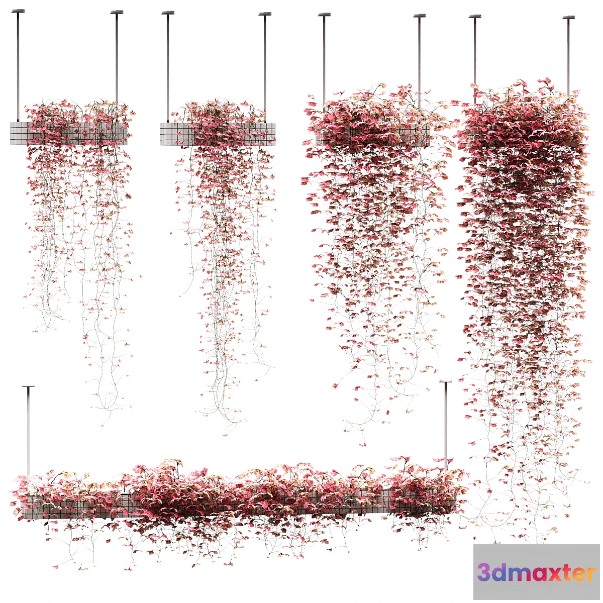 739213 - Flowers on the shelves. 5 models - No.2