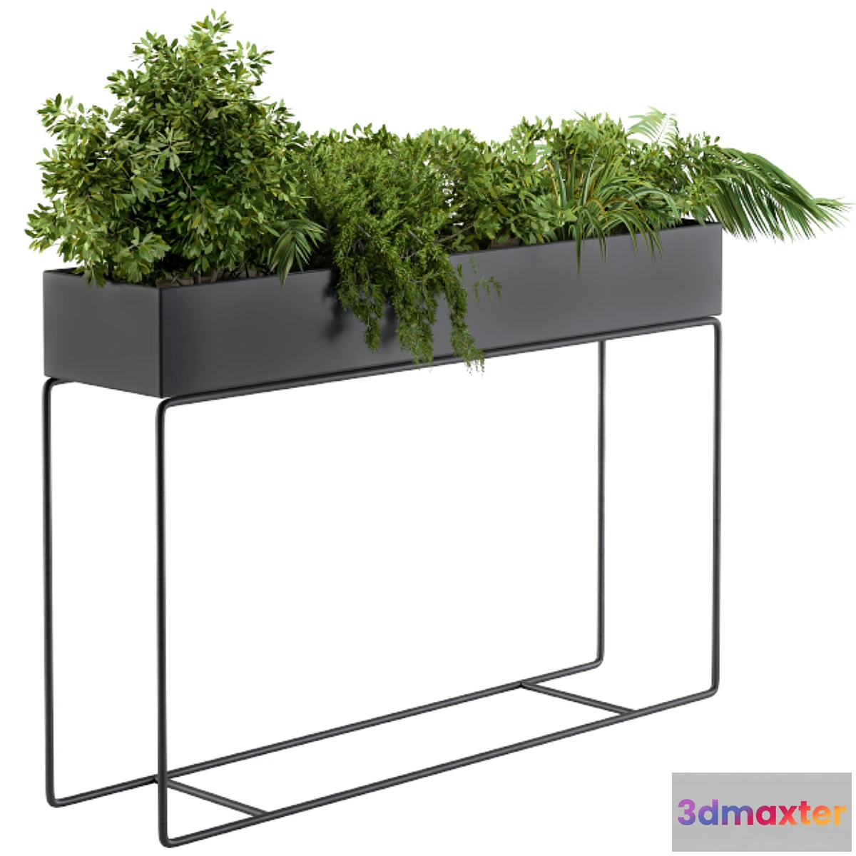 739225 - Black Box Plants on stand02 - No.2