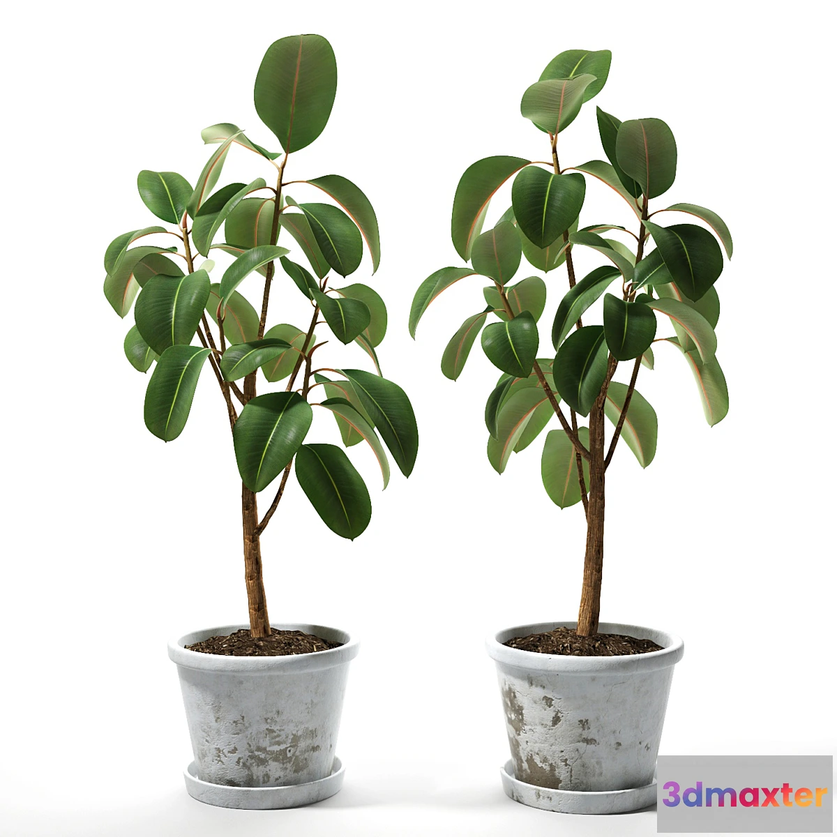 739311 - Set of plants 05 - No.2