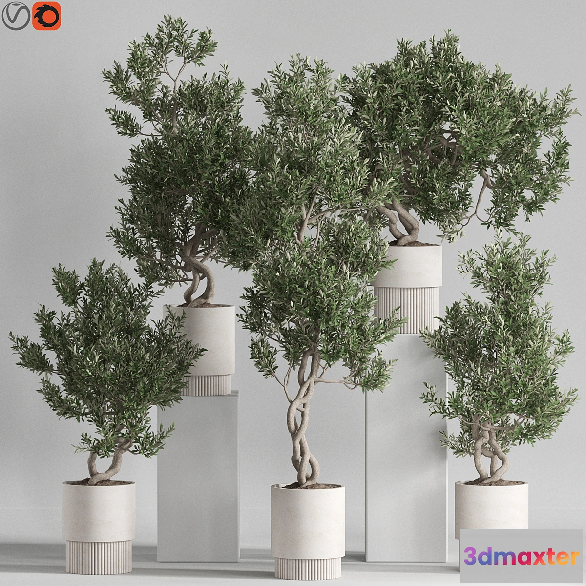 747641 - Plants collection 735 - No.2