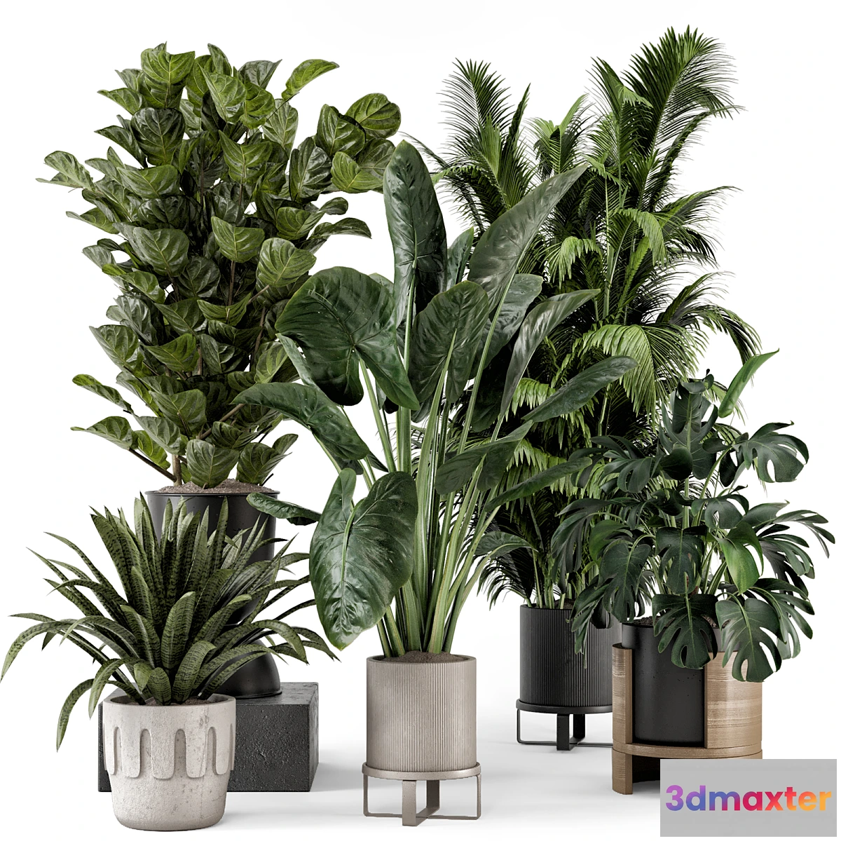 747925 - Indoor Plants in Ferm Living Bau Pot Large - Set 1188 - No.2