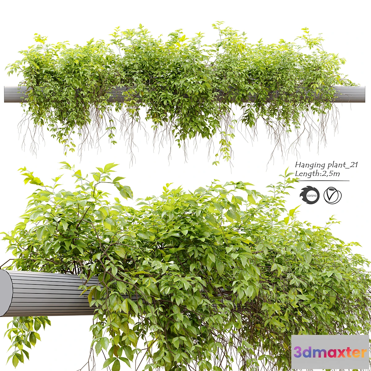 748887 - Hanging Plant 21