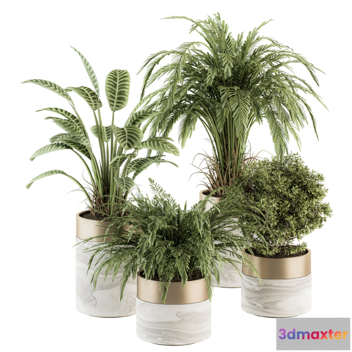 748891 - indoor Plant Set 245 - Plant Set in pot