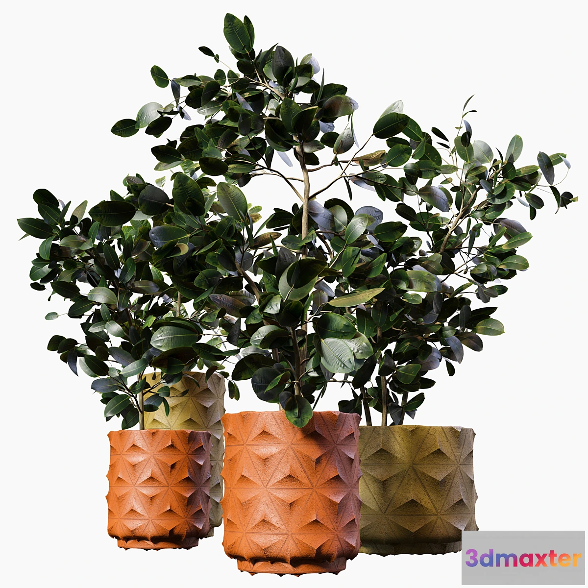 748905 - Plant-pot06