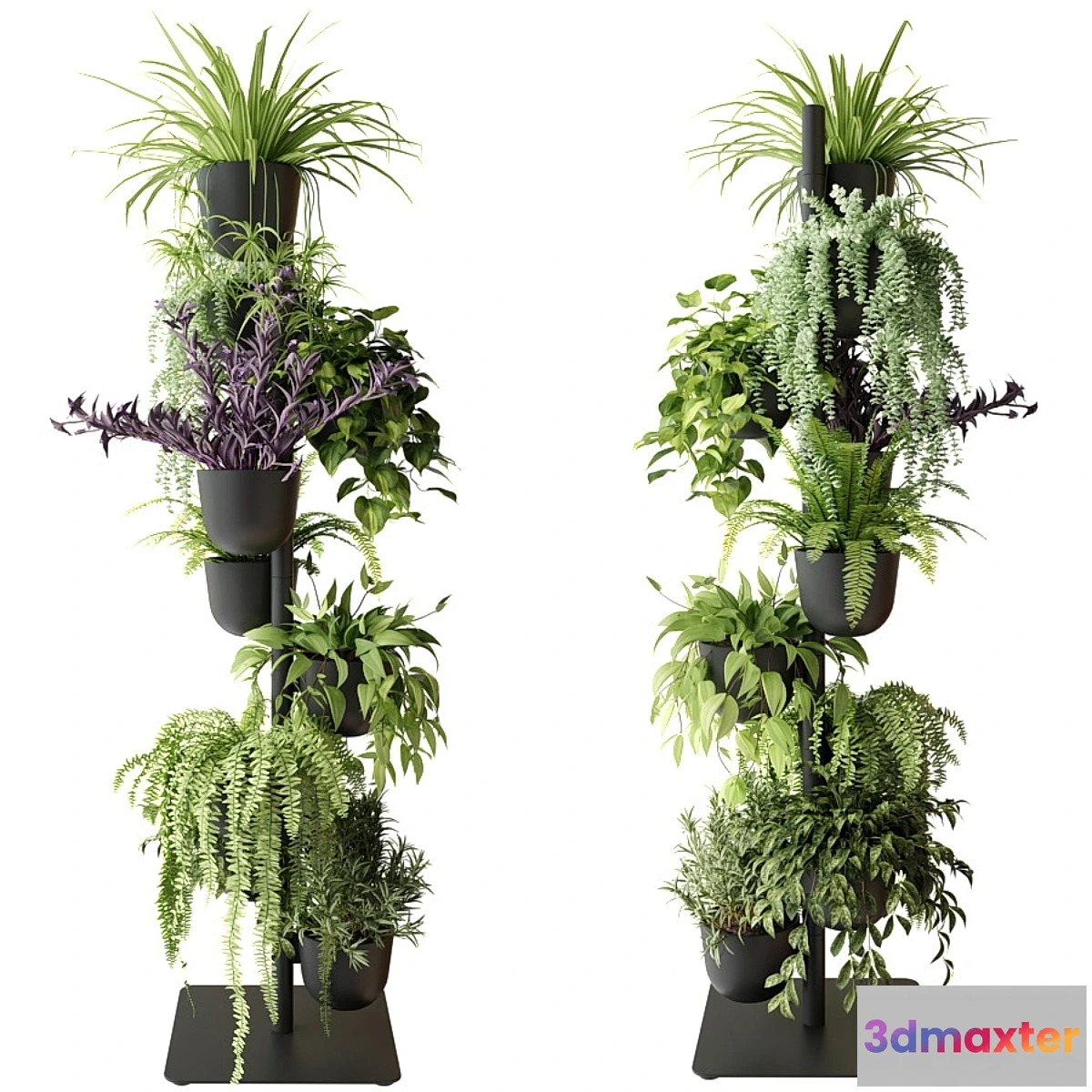 748911 - Rack with indoor plants in pots - No.4