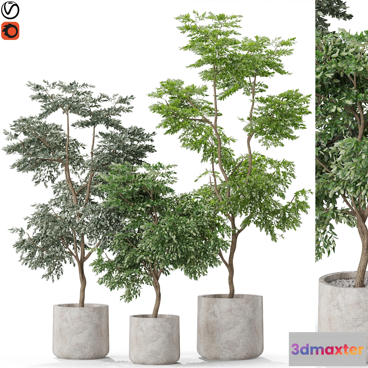 748927 - Plants collection 576 - No.2