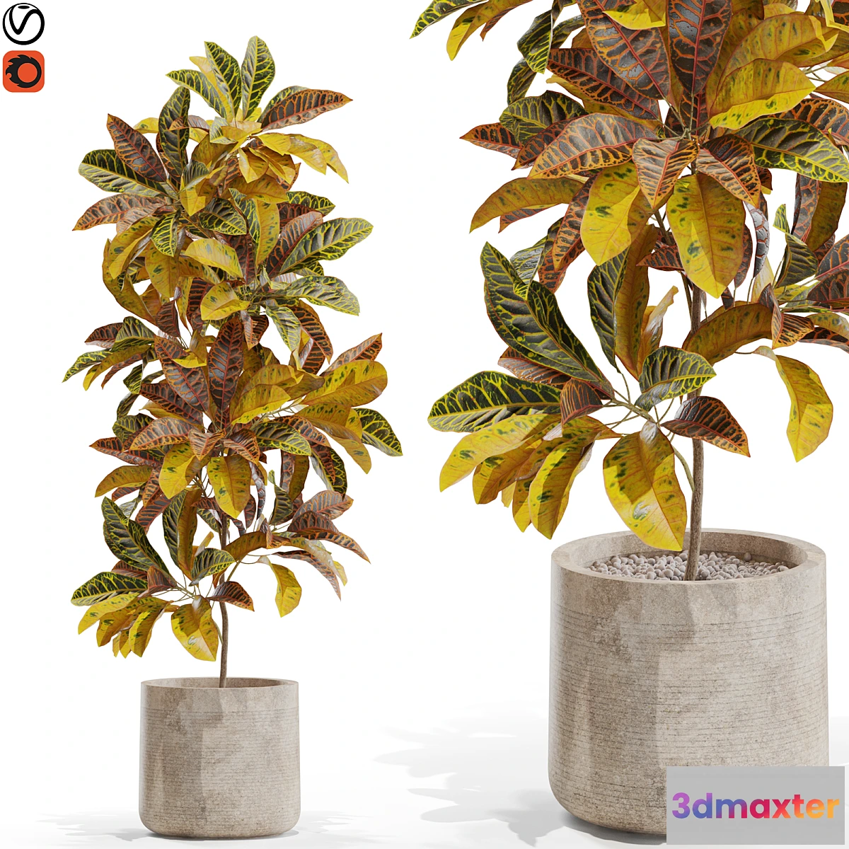 748937 - Plants collection 557 - No.3