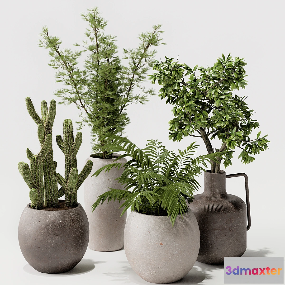 748941 - Indoor plant 03 - No.2