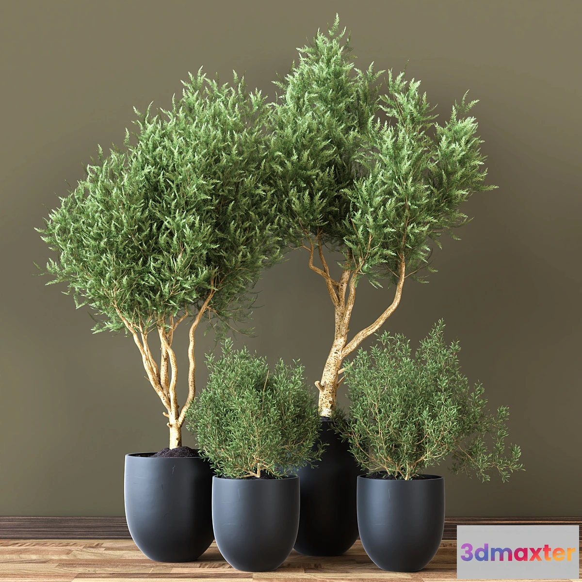 748973 - Indoor_Plant_Vol_19