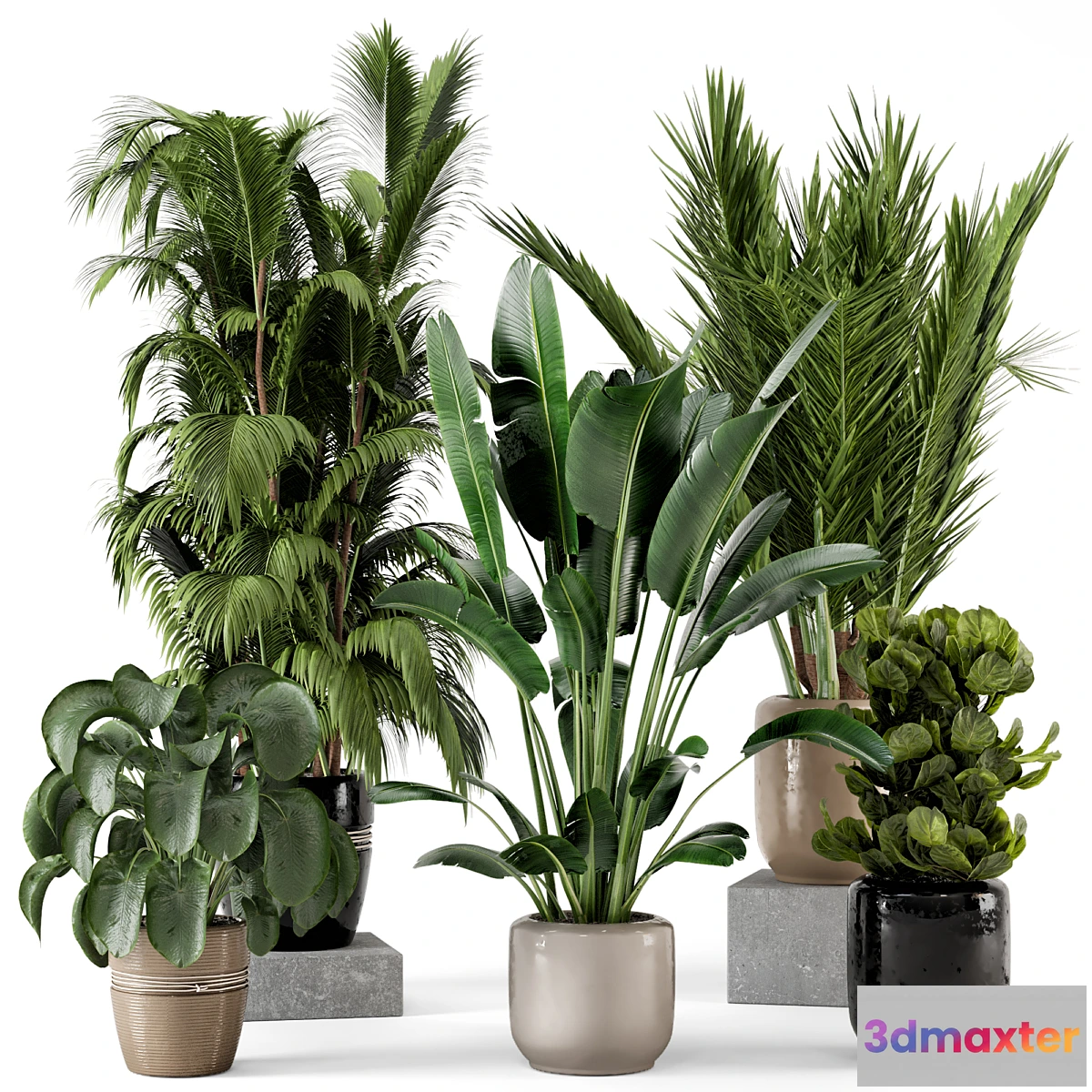749003 - Indoor Plants in rusty Concrete Pot - Set 217