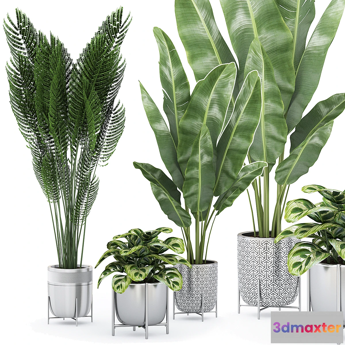 749015 - Flower Pack 225С - No.2