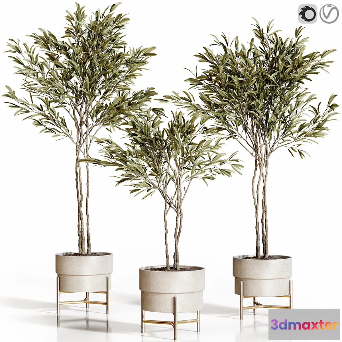 749027 - Olive trees 3 - No.2