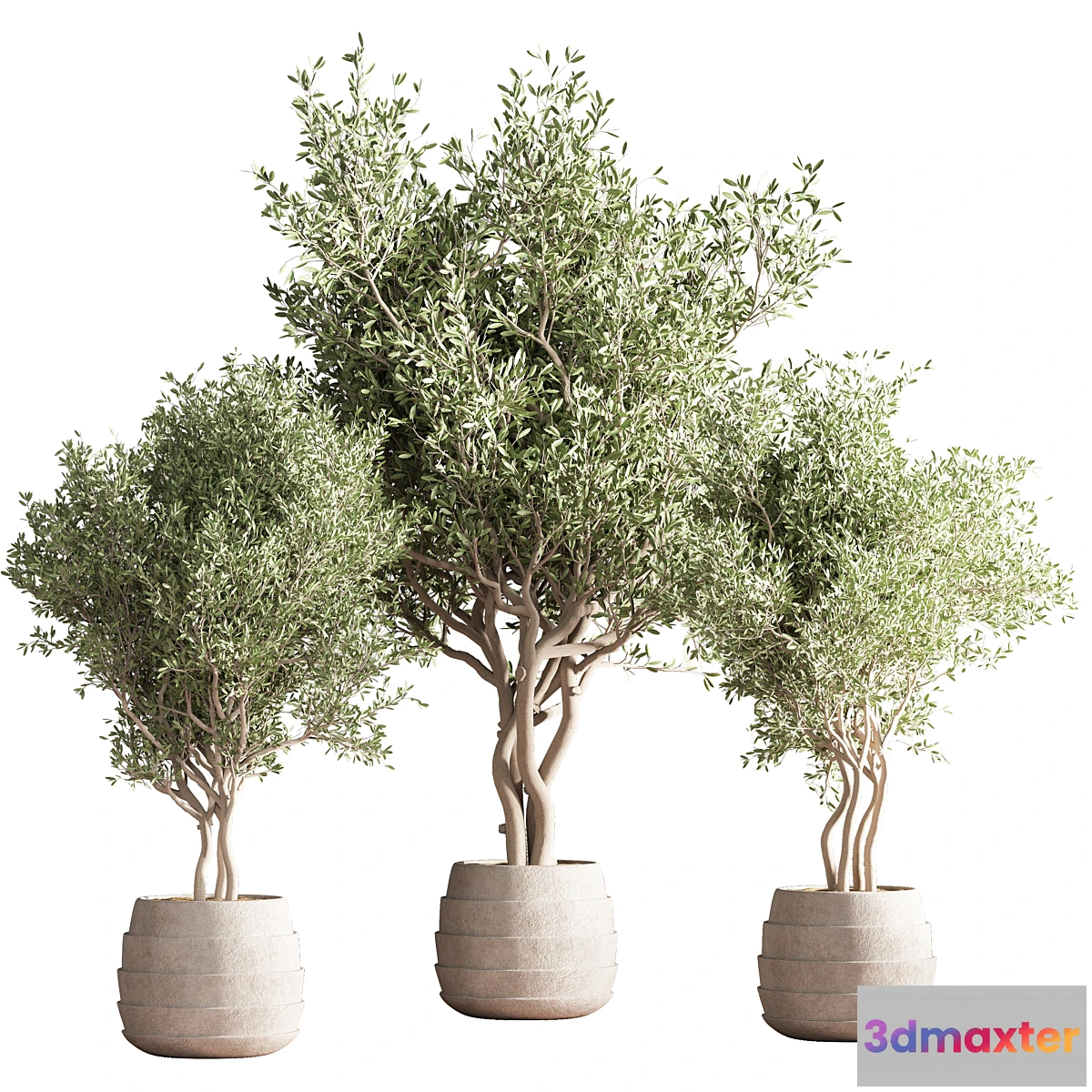 749047 - indoor plant stand 39