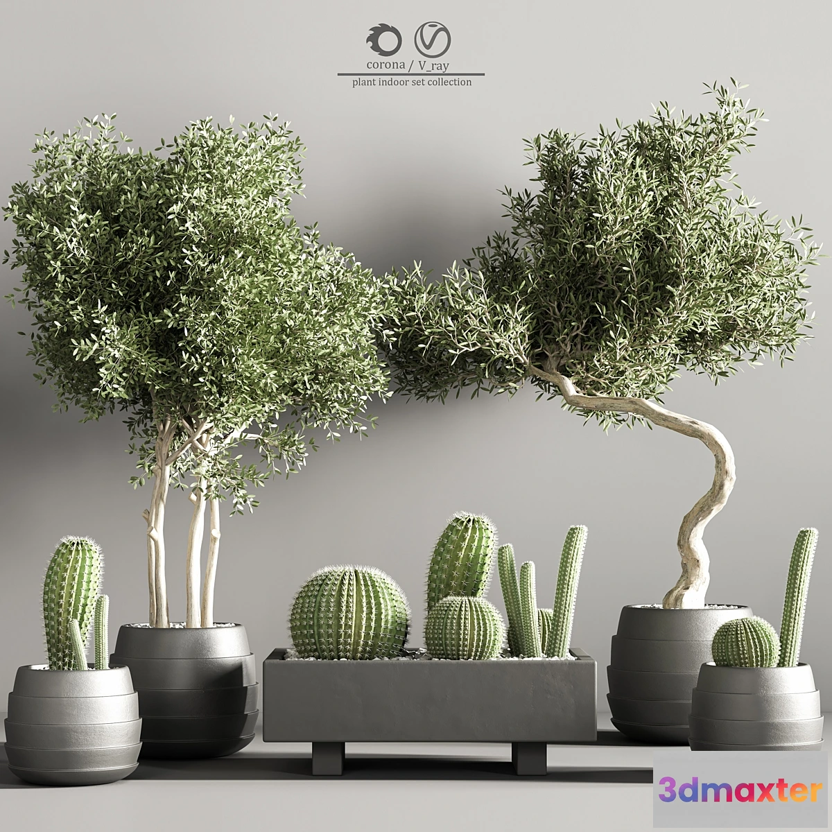 749053 - indoor plant stand 37