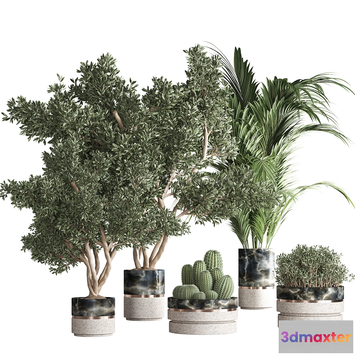 749059 - indoor plant set 31 - No.2