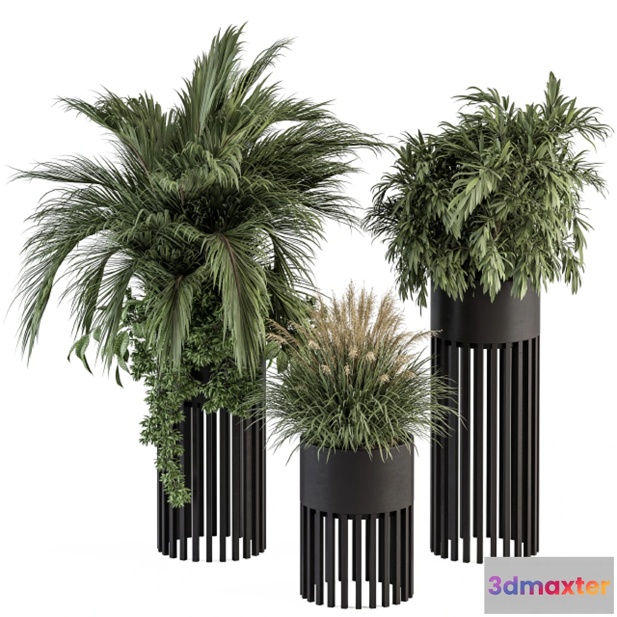 749069 - indoor Plant Set 301 - Plant Set in Round Stand Black pot