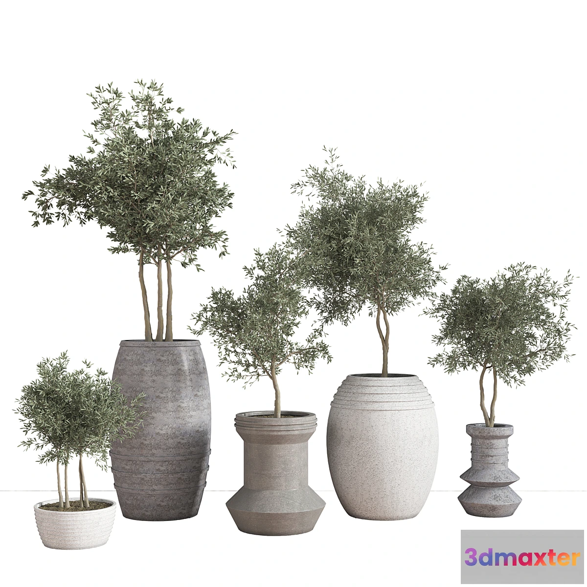 749071 - indoor_plant_set_29