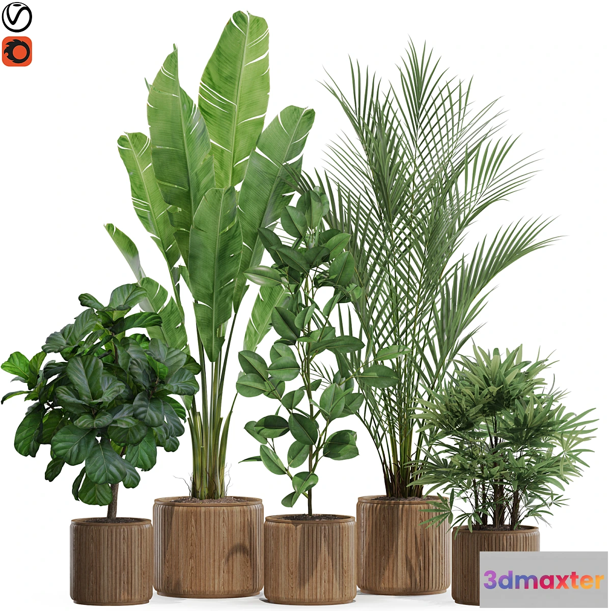 749085 - Plants collection 563 - No.2