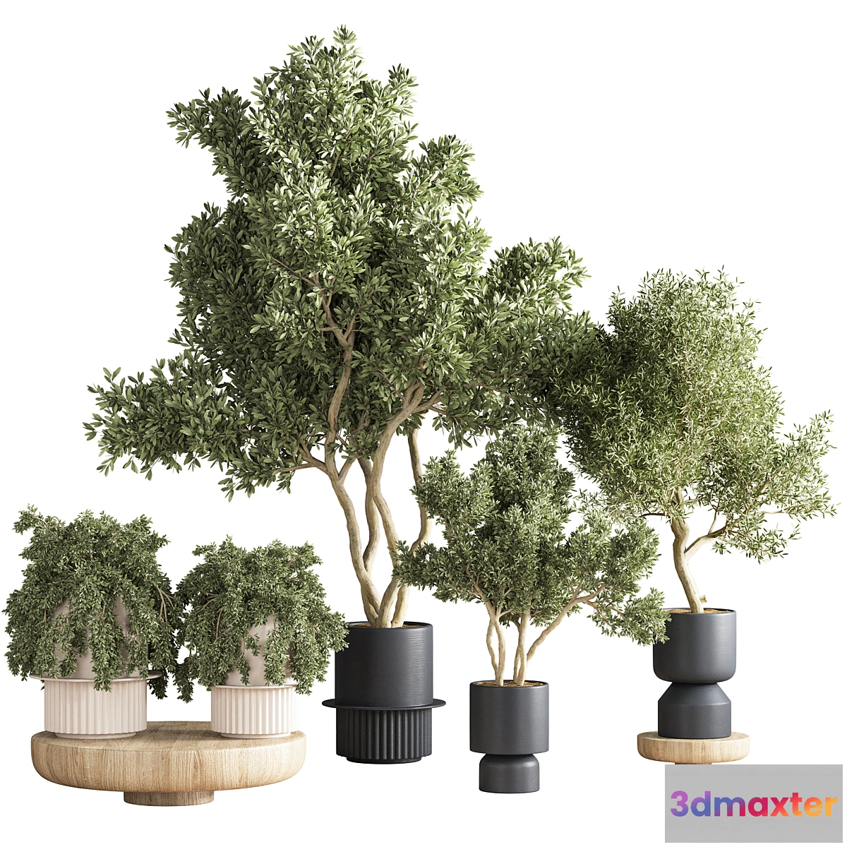 749109 - indoor plant set 21 - No.4