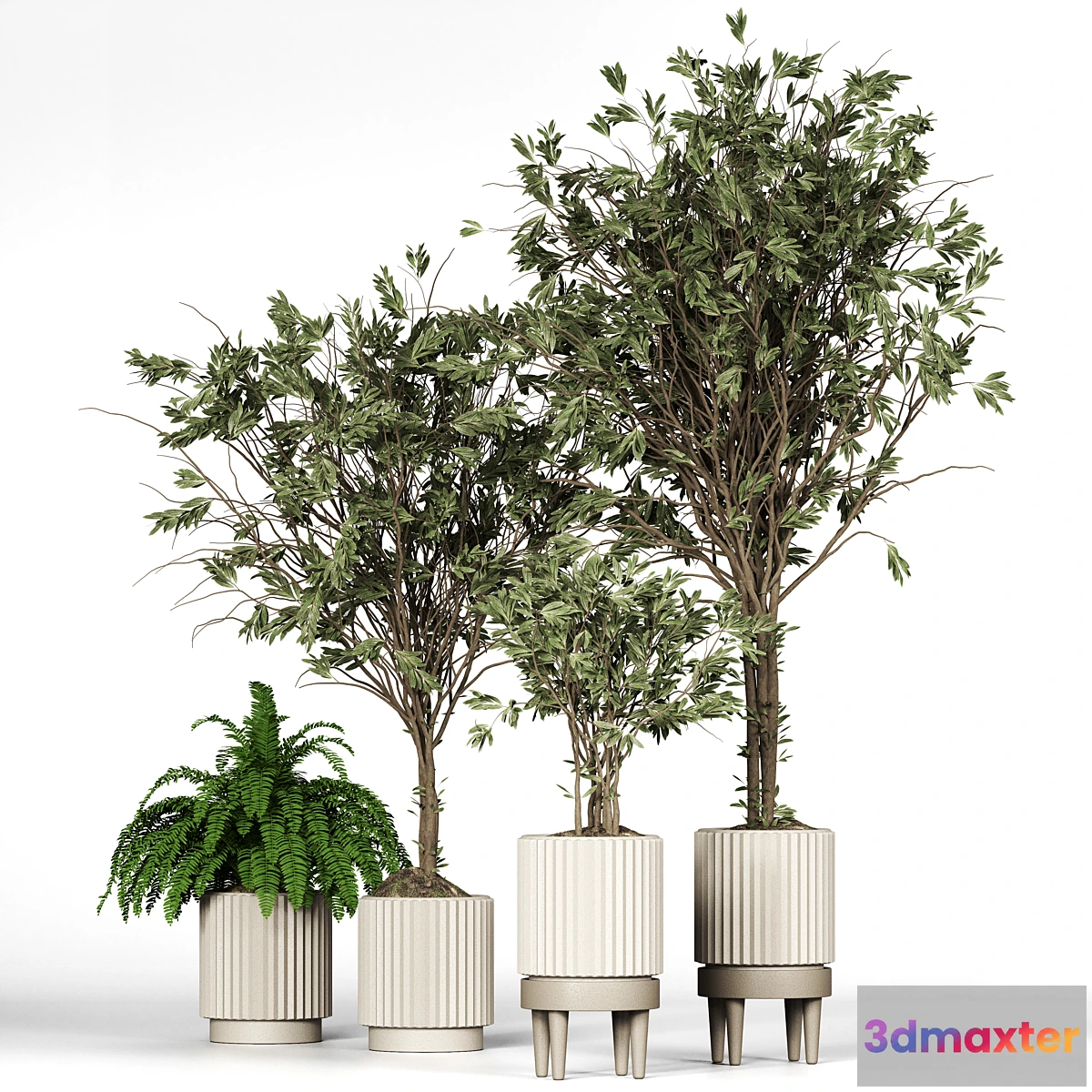 749131 - Collection_plant_05 - No.2