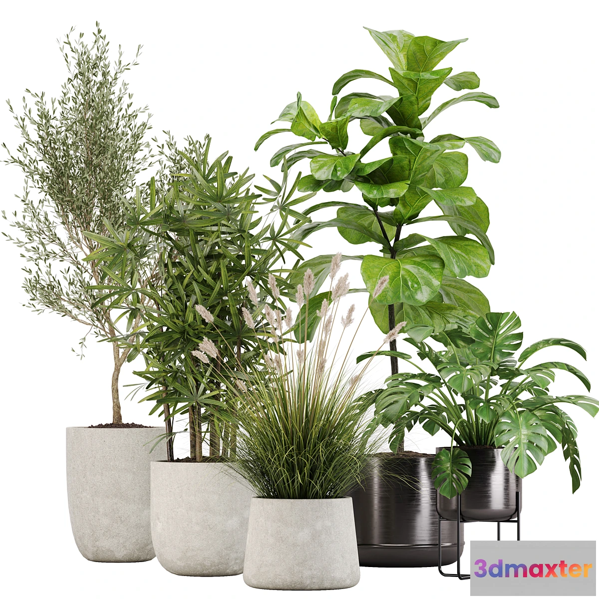 749133 - indoor plant set 32