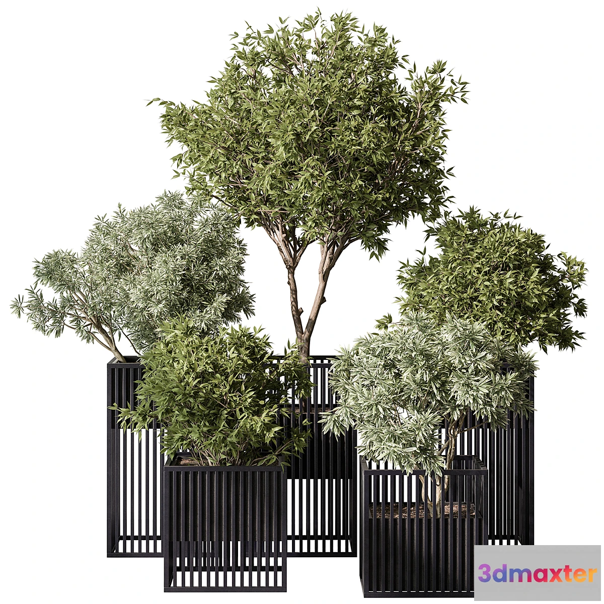 749137 - indoor Plant Set 380- Tree and Plant Set in pot - No.2