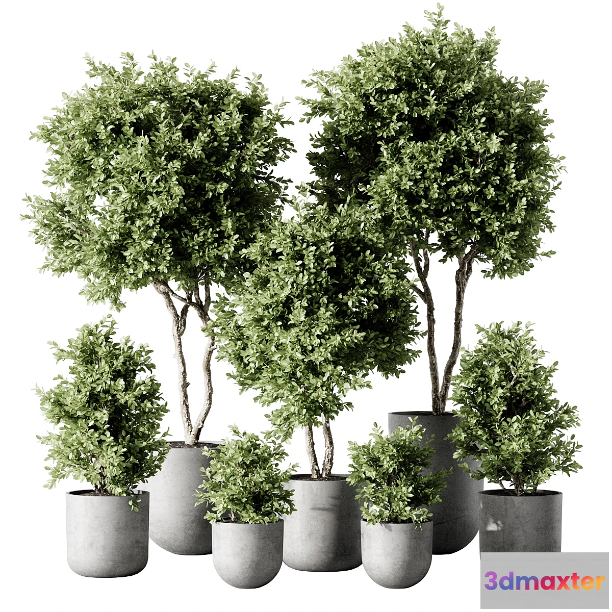 749141 - Indoor Plant 2 - No.2